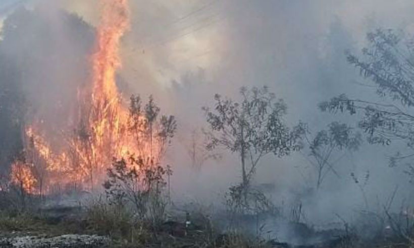 Incêndio atinge madeireira em Lagoa Santa e é controlado pelo Corpo de Bombeiros - Reprodução/Twitter Bombeiros_MG