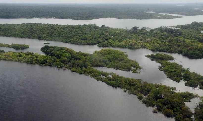 Maiores bancos privados do Brasil lançam plano para a Amazônia - Valter Campanato/Agência Brasil