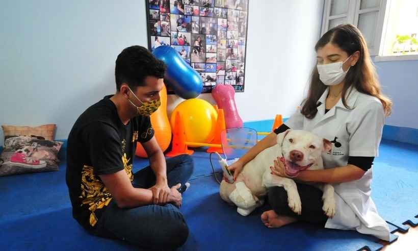 Pitbull Sansão, que teve as patas decepadas por facão, volta para casa - Gladyston Rodrigues/em/d.a press