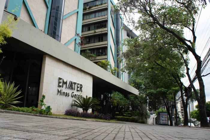 Emater convocará aprovados em concurso de 2018 - Divulgação/Emater-MG