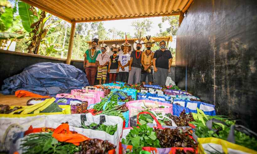 Campanha arrecada doações para hortas comunitárias em Minas  - Divulgação
