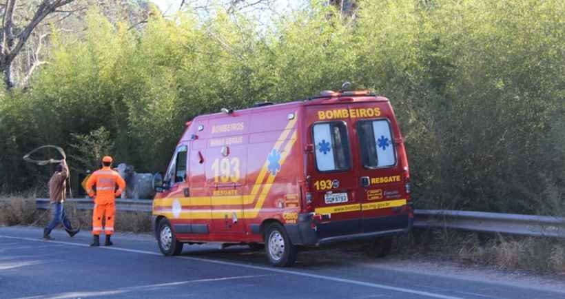 Boi na pista dá trabalho para bombeiros e patrulheiros em rodovia mineira - PRE/Divulgação