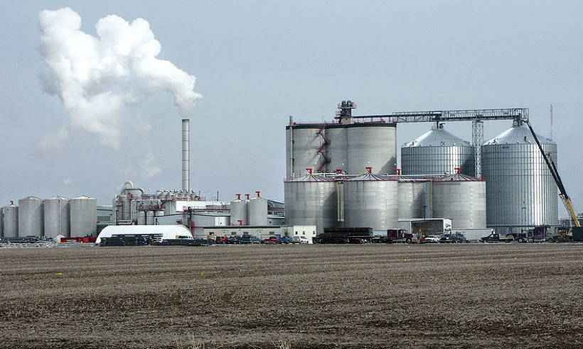 Brasil zera taxa de etanol se a do açúcar cair, diz secretário - Wikipedia/Reprodução