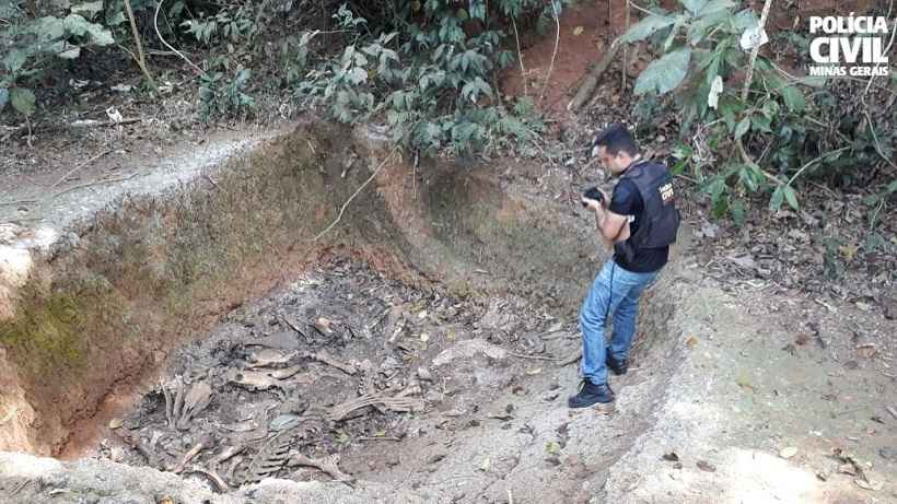 Polícia suspeita que abatedouro clandestino vendia carne equina como bovina - Polícia Civil/Divulgação