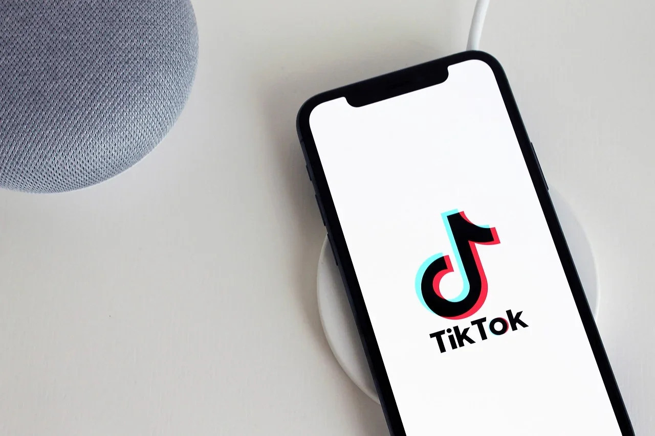Após publicação de vídeo no Tik Tok, abusador sexual de adolescente é preso no Chile - PixaBay/Reprodução