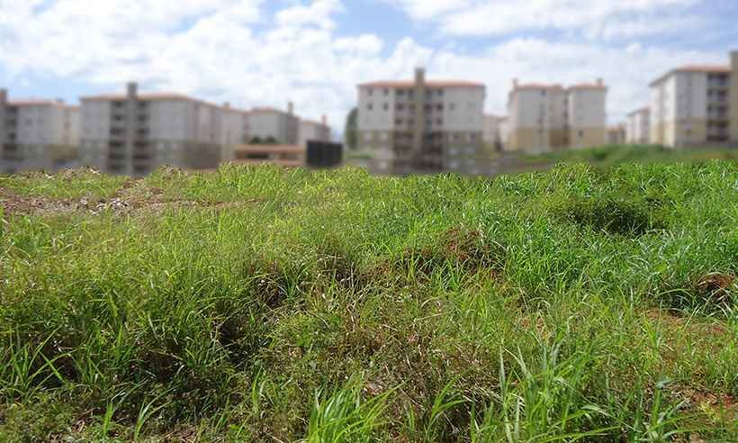Homem pega 26 anos de prisão por atear fogo no corpo de mulher após matá-la - TJMG/Reprodução