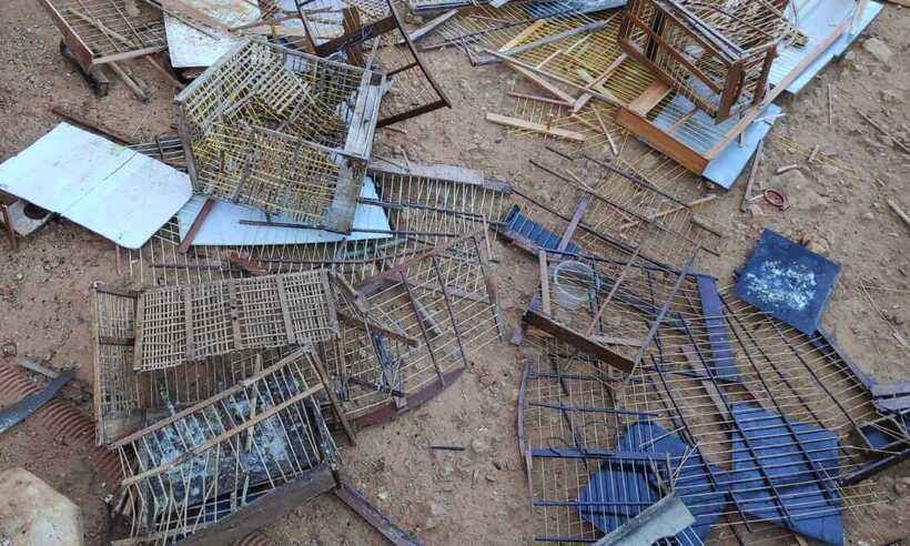 PF faz operação de combate ao tráfico de animais silvestres em Minas e Bahia  - PF/divulgação