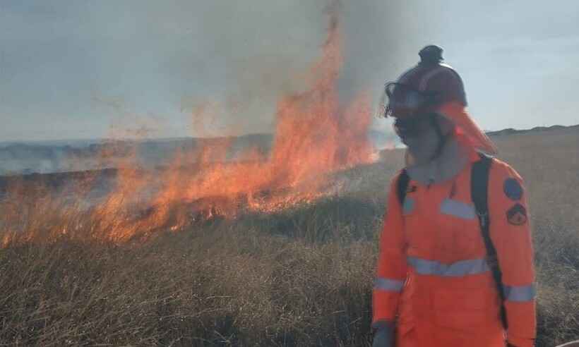Incêndios devastam áreas correspondentes a 300 campos de futebol em Araxá - Corpo de Bombeiros/ Divulgação