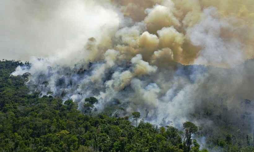 Agosto foi 2º pior mês de queimadas na Amazônia nos últimos dez anos, aponta Inpe - Carl de Souza/AFP