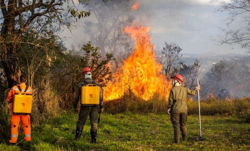Incêndio atinge margens da BR-356, próximo a Itabirito - Leandro Couri/EM/D.A Press