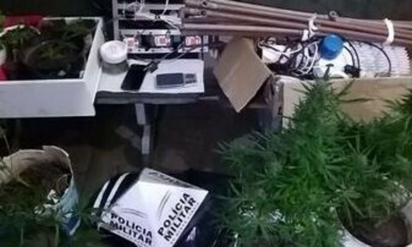 PM encontra laboratório para cultivo de maconha na zona rural de Itaúna - Divulgação/ Polícia Militar