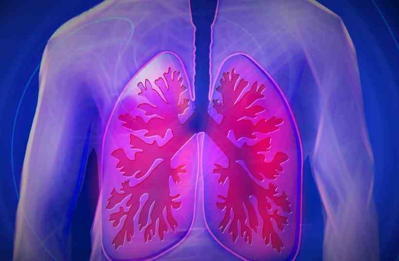 COVID-19 garante mais empatia à campanha sobre fibrose cística - Pixabay