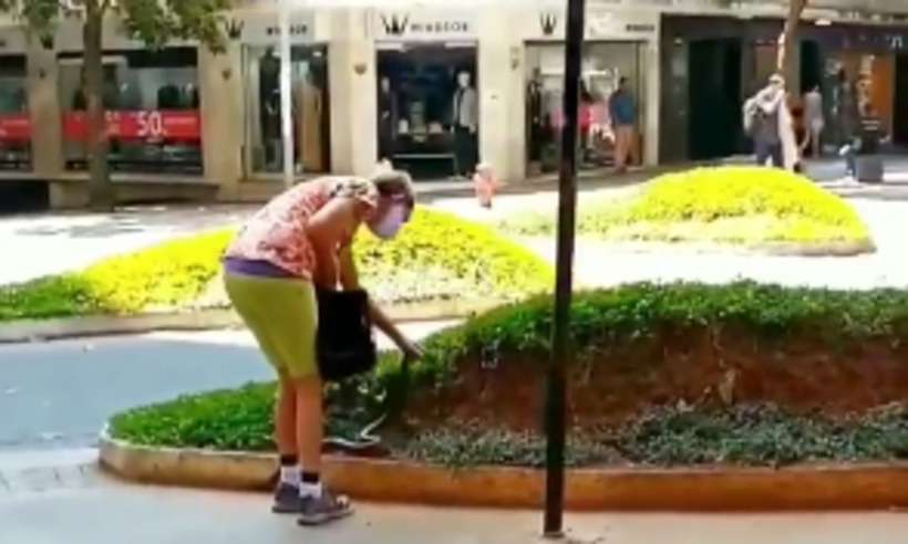 Mulher solta cobra para dar ''voltinha'' no Centro de BH; veja vídeo - Reprodução/Instagram