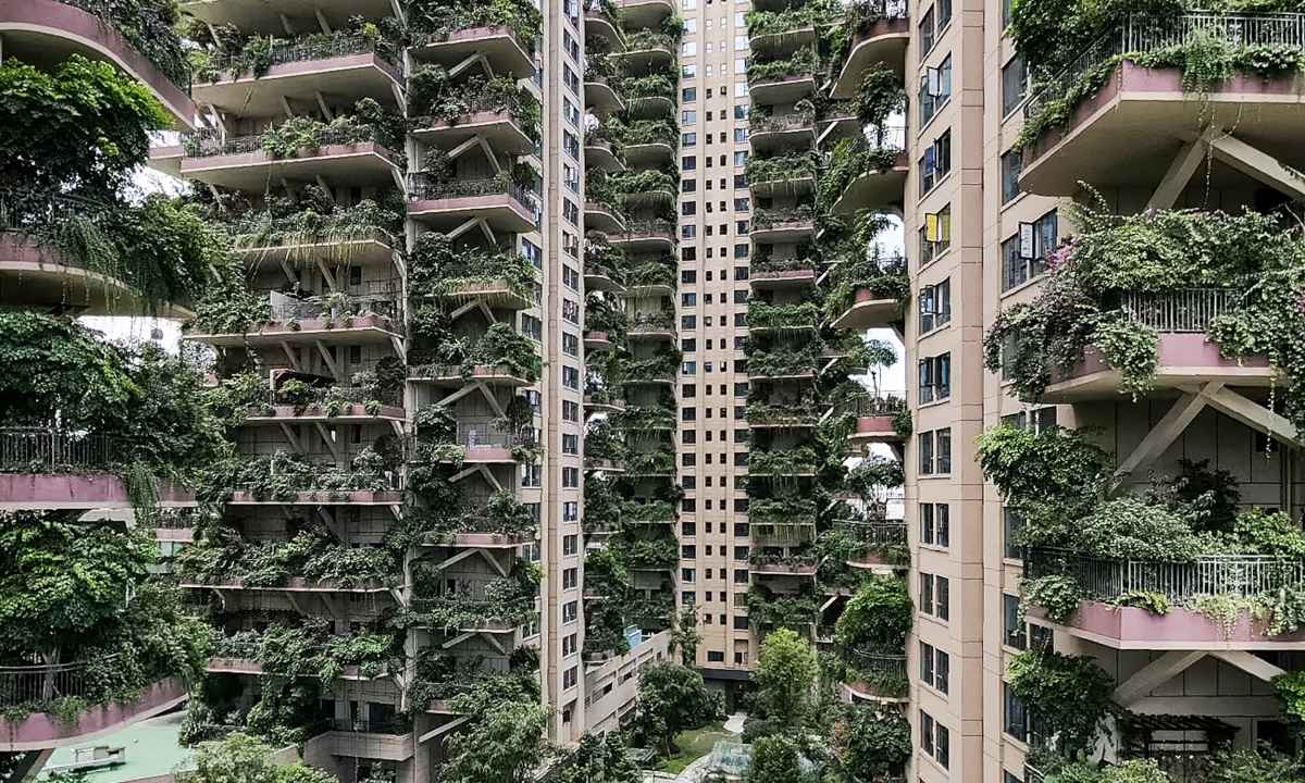 Plantas 'invadem' prédios na China e moradores abandonam imóveis - STR / AFP

