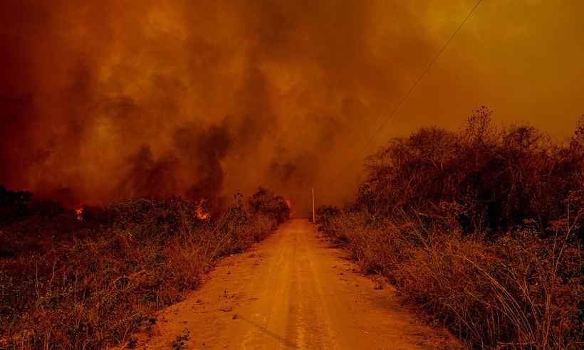 Fogo destrói 85% de parque conhecido pelo turismo das onças no MT - Mayke Toscano/Secom-MT