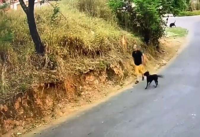 Polícia Civil identifica e busca autor de incêndio criminoso em Brumadinho - Reprodução