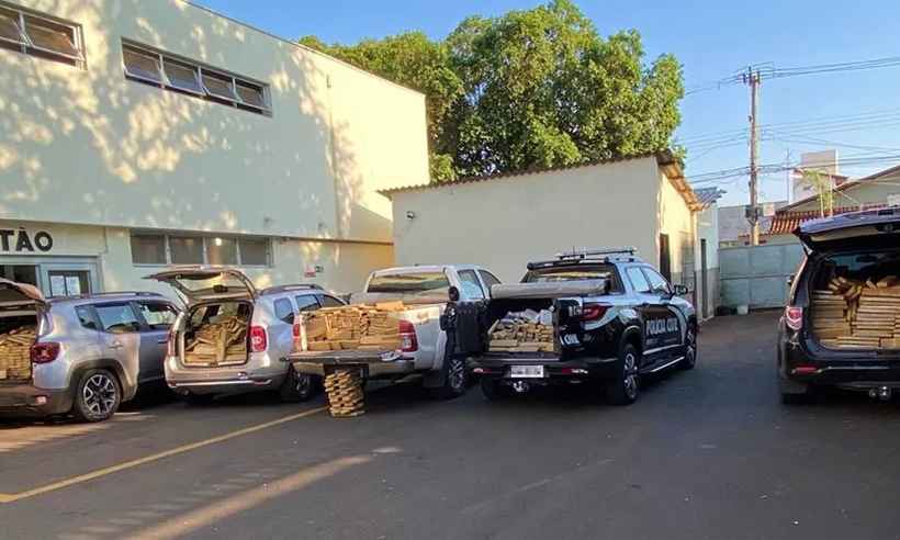 Polícia apreende 3,4 toneladas de maconha em Campo Florido, no Triângulo - PCMG/Divulgação