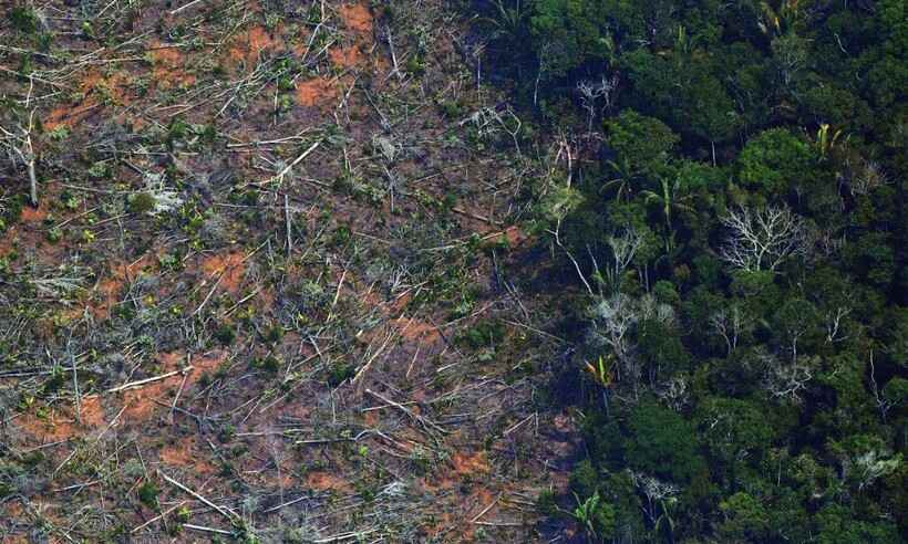AGU tenta bloqueio de quase R$ 1 bilhão com contas de desmatadores da Amazônia - Carl de Souza/AFP