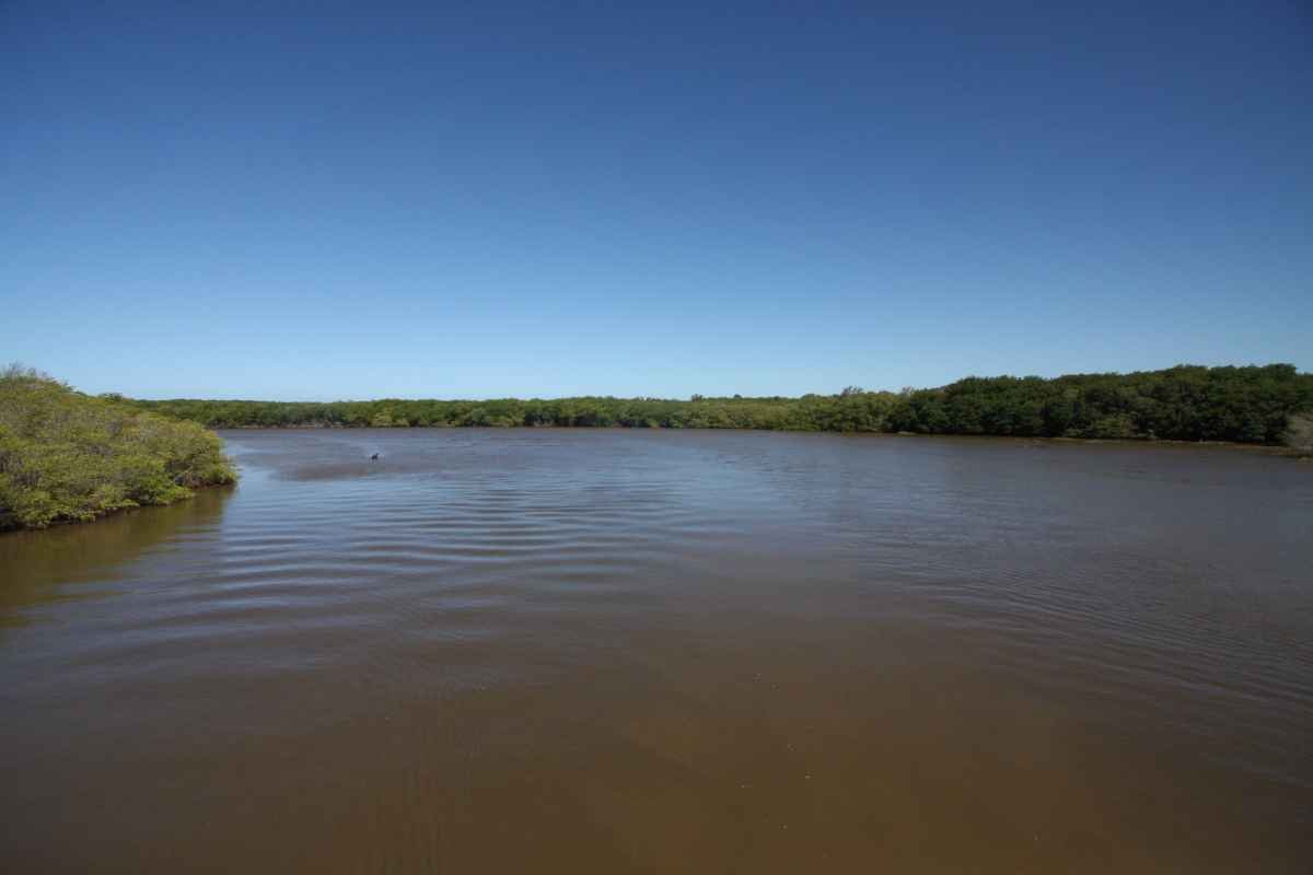 Parlamentares vão à Justiça para impedir votação que flexibiliza regra ambiental - Edésio Ferreira/EM