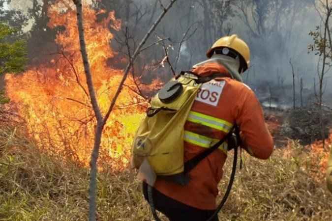 Incêndio atinge vegetação no Palácio do Jaburu; veja vídeo - CBMDF/Divulgação