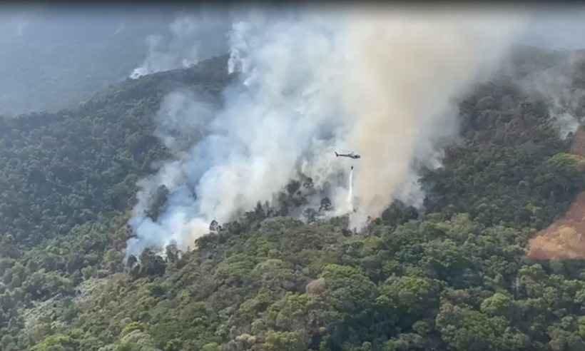 Ibitipoca: incêndio ameaça mais de 60 espécies raras no parque - Rodrigo Sarago/Divulgação