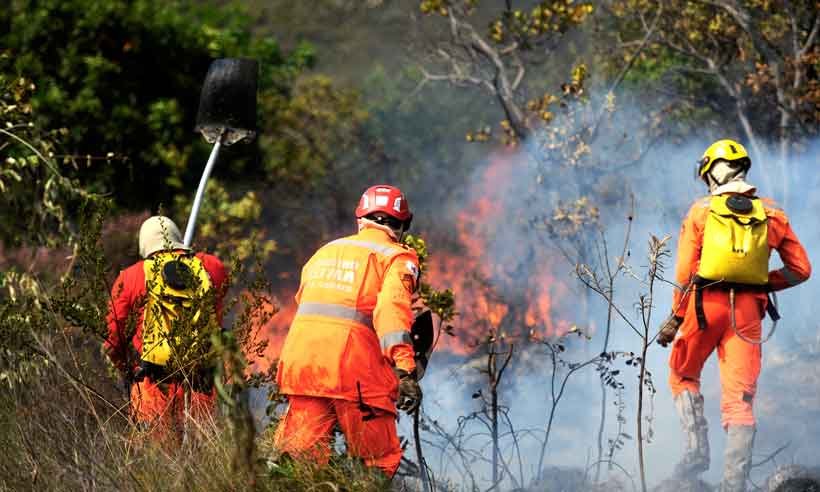 Em dois dias, Corpo de Bombeiros registra mais de 100 chamados para incêndios florestais - Leandro Couri/EM/D.A Press
