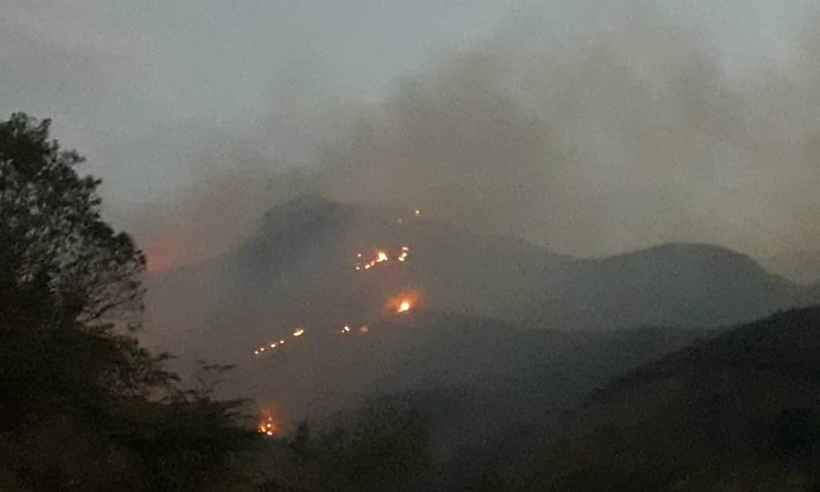 Incêndio ameaça planta carnívora rara e que só existe em Minas  - Divulgação/Paulo Gonella