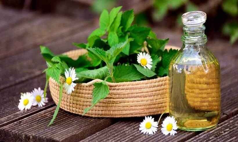 Skincare caseira - Pixabay
