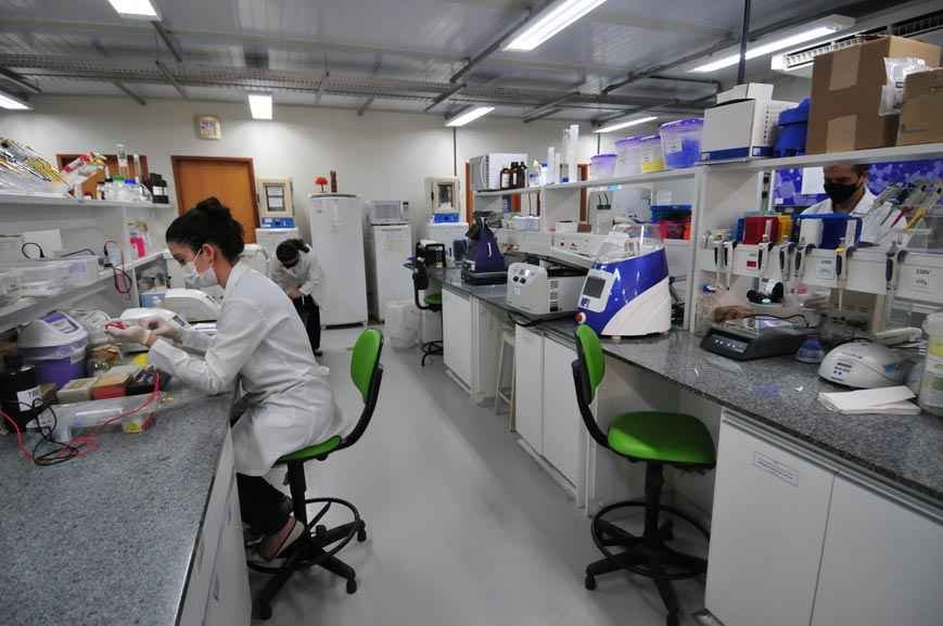 COVID-19 concentra recursos da pesquisa, e outras áreas importantes perdem - Fotos: Gladyston Rodrigues/EM/D.a press