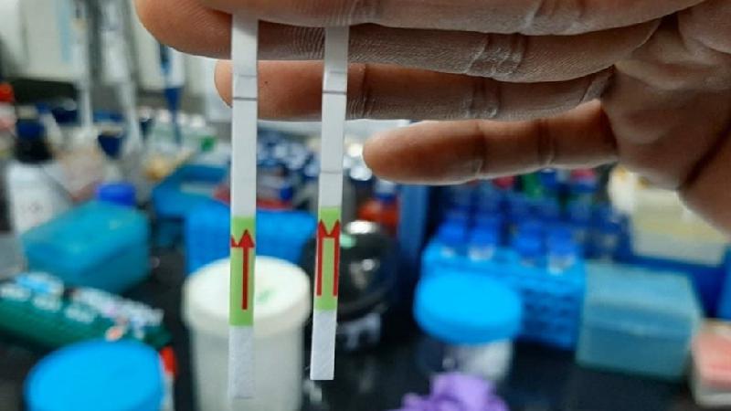 Coronavírus: o teste indiano que promete acelerar e baratear de covid-19 - BBC