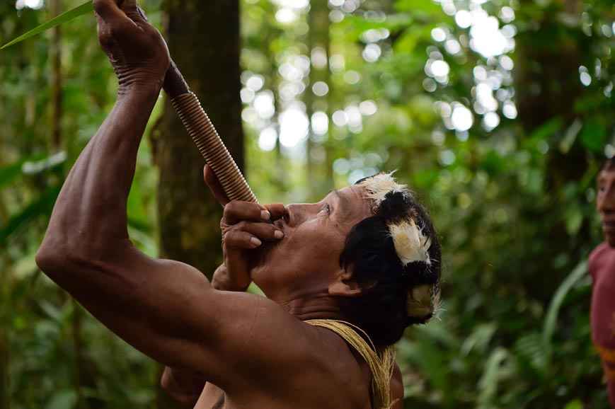 Biodiversidade da Amazônia vira bandeira política nos EUA e no Brasil - Rodrigo Buendia/AFP  14/4/20
