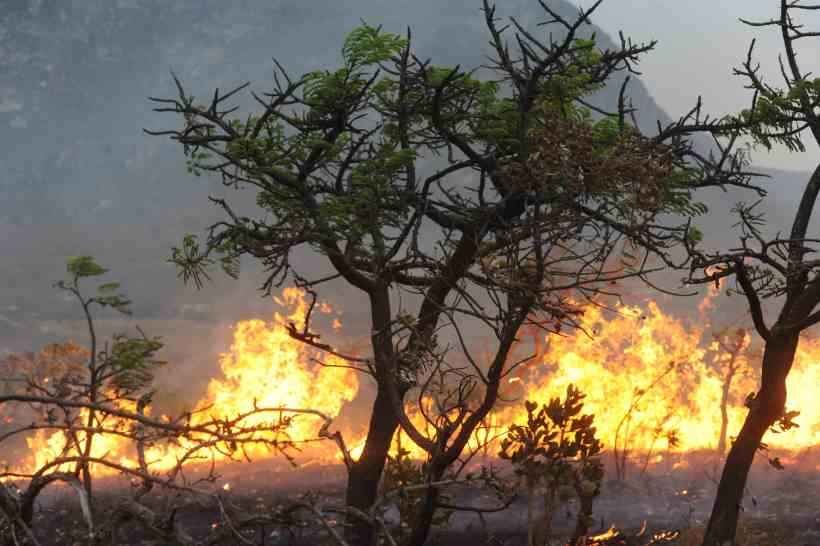 Fogo está sob controle em Lapinha da Serra, dizem bombeiros - Leandro Couri/EM/D.A Press
