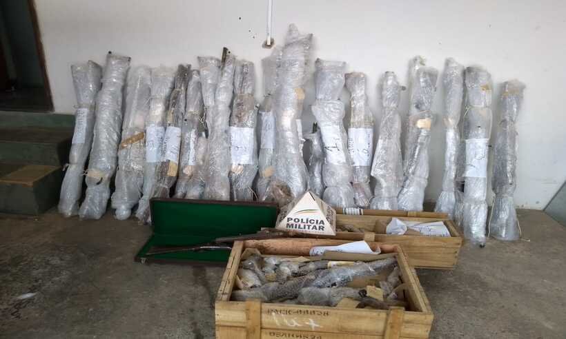 Homem que colecionava 190 armas irregularmente é preso no Sul de Minas  - Polícia Militar do Meio Ambiente/divulgação