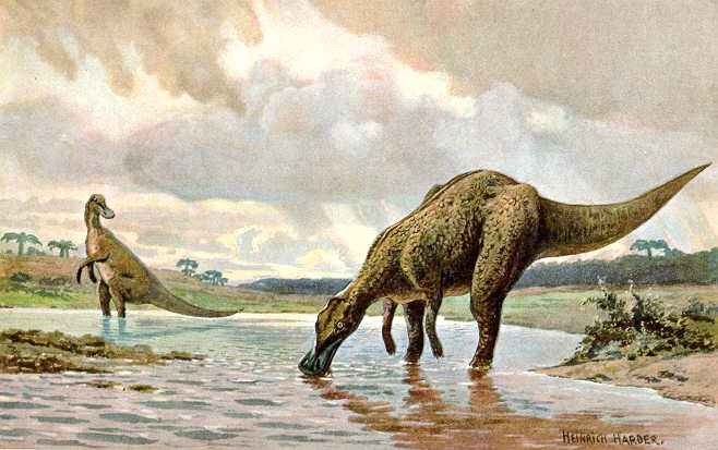 Menino de 12 anos descobre esqueleto raro de dinossauro no Canadá - Wikipedia