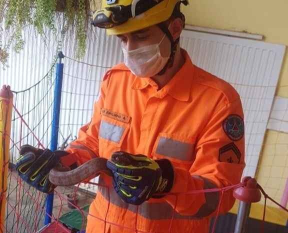 Cobra no parquinho mobiliza bombeiros em Montes Claros - CBMMG
