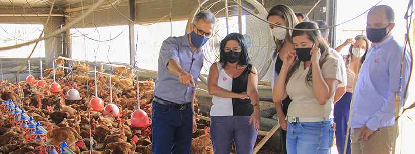 Zema destaca potencialidade do agronegócio em visita a Papagaios e Maravilhas  - Fábio Marchetto/Divulgação