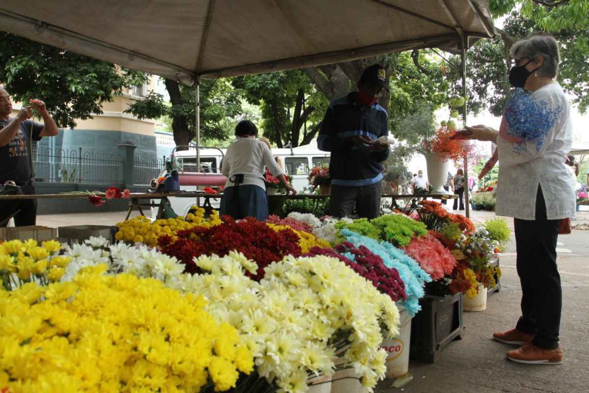 Finados: com bancas vetadas nos cemitérios, floriculturas de BH preveem fiasco de vendas - Edésio Ferreira/EM/D.A Press