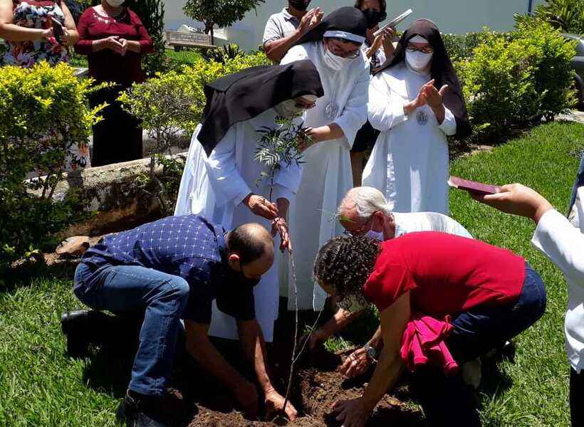 Irmãs do Mosteiro de Macaúbas celebram a vida com plantio de árvore - Gustavo Werneck/EM/D.A Press 