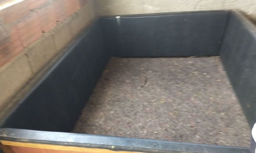 Polícia Militar flagra rinha de galos em Almenara, no Vale do Jequitinhonha - PMMG/Divulgação