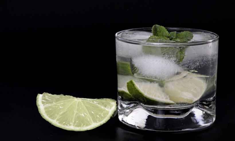 Estudo da UFMG conclui que consumo de álcool pode elevar risco de infecções - Pixabay