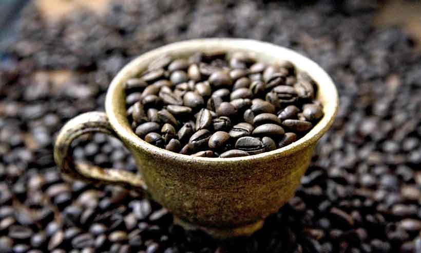 Semana Internacional do Café começa nesta quarta com programação on-line e gratuita - Nitro/Divulgação