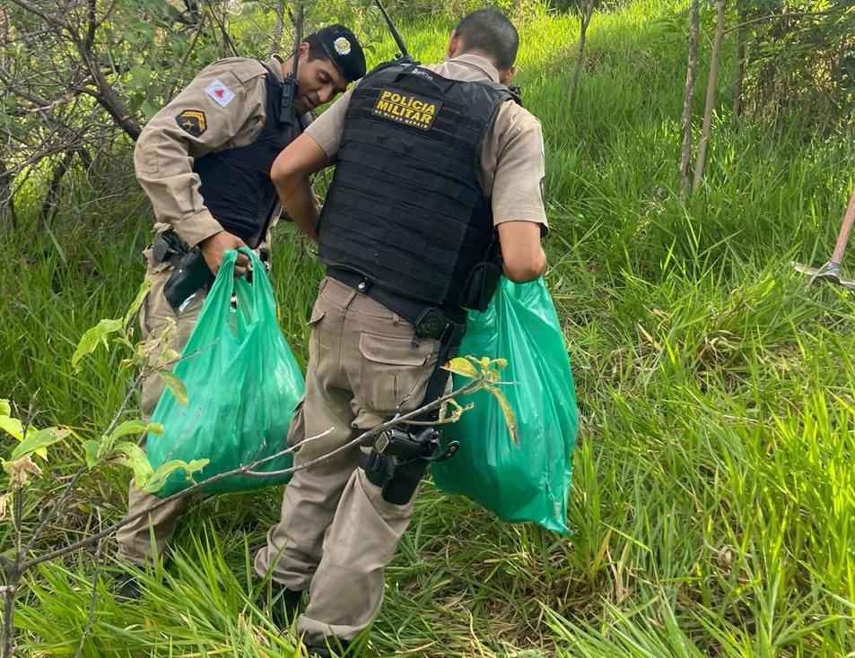 Depósito de drogas e armas é encontrado pela PM na Mata da Baleia - Divulgação/PMMG