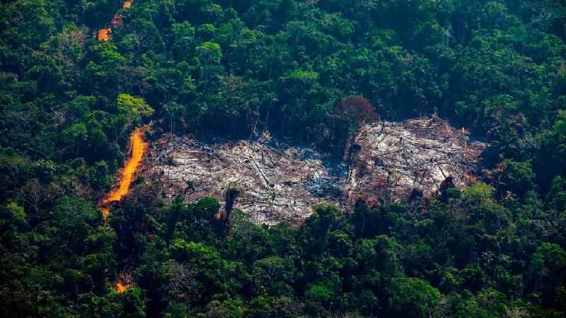 Desmatamento: as imagens de satélite que apontam ligação entre grandes frigoríficos e derrubada de florestas na Amazônia - Getty Images