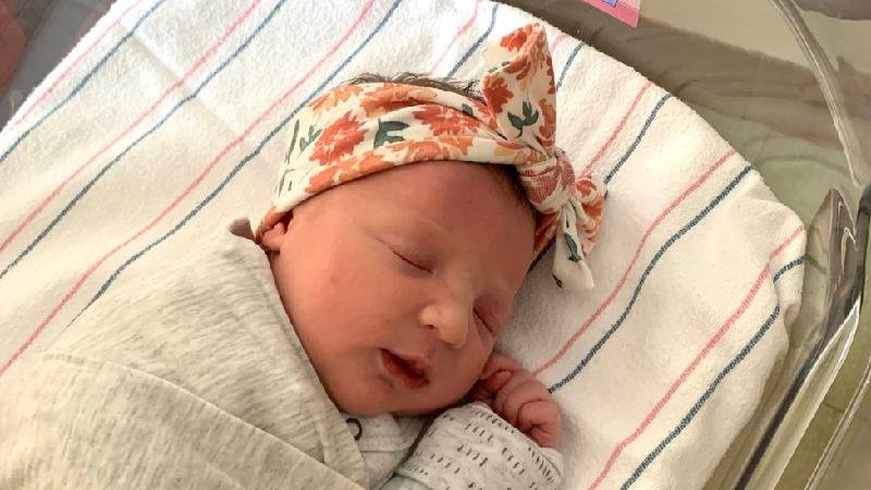 Embrião congelado por 27 anos: como casal escolheu o bebê que quebrou recorde - Cortesia National Embryo Donation Center