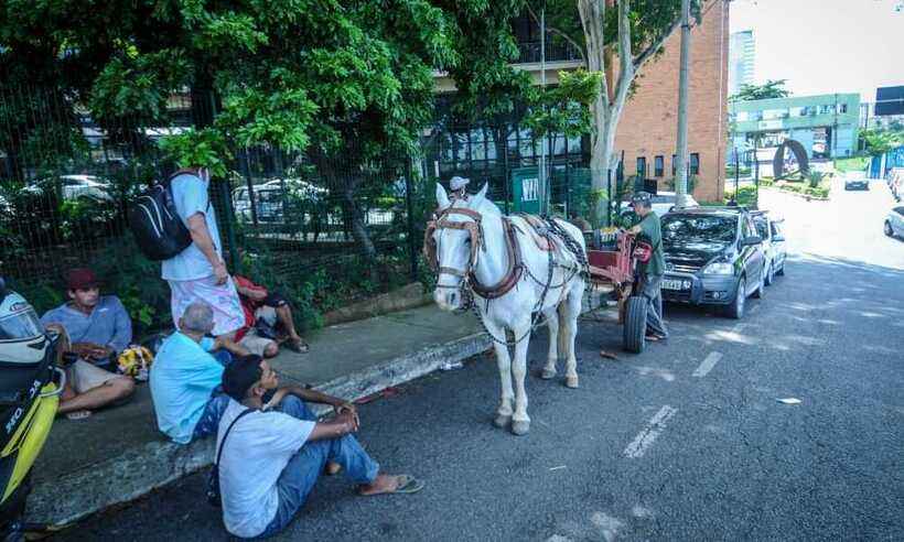 Vereadores aprovam fim das carroças puxadas por animais em BH - Leandro Couri/EM/DA Press