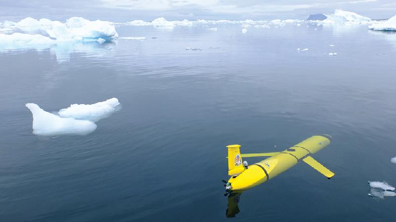 A ameaça de um iceberg gigante a focas e pinguins no Atlântico - David White