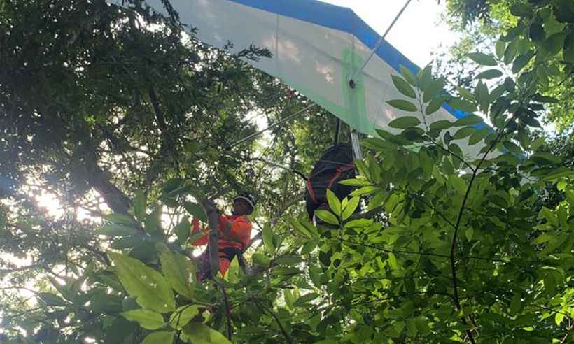 Bombeiros resgatam piloto e asa delta em árvore de 10 metros de altura - Reprodução