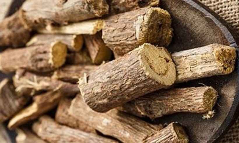 COVID-19: presidente do Turcomenistão propõe tratamento com alcaçuz - Wikipedia Commons/Reprodução