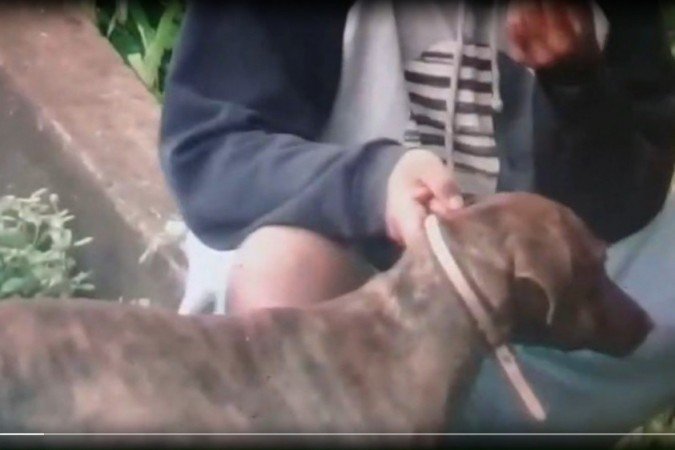 Em vídeo, homem é flagrado obrigando cachorro a inalar maconha - Reprodução