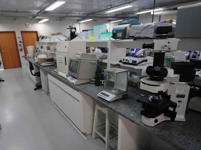 COVID-19: Antialérgicos mostram eficácia em testes laboratoriais  - Gladyston Rodrigues/EM/D.A Press